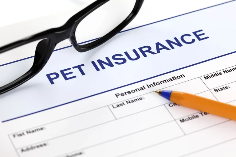 best pet insurance