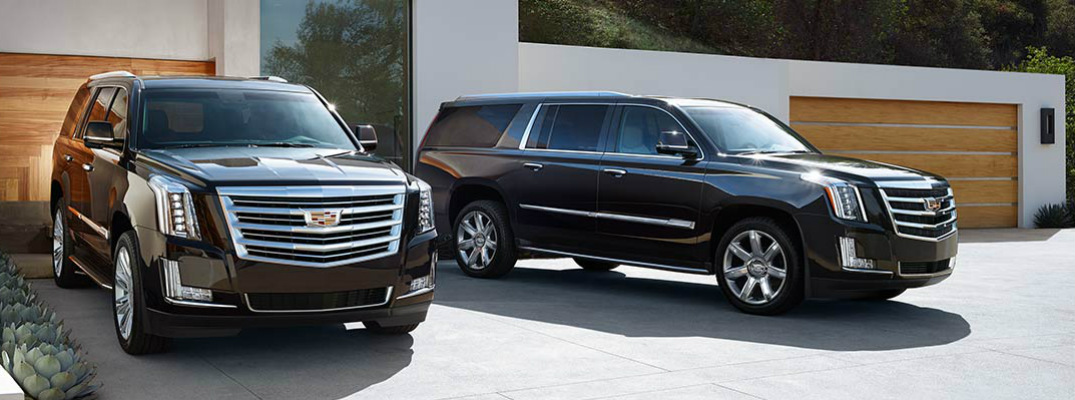 VIP Miami Limo: The Ultimate Luxury Ride Experience in Miami